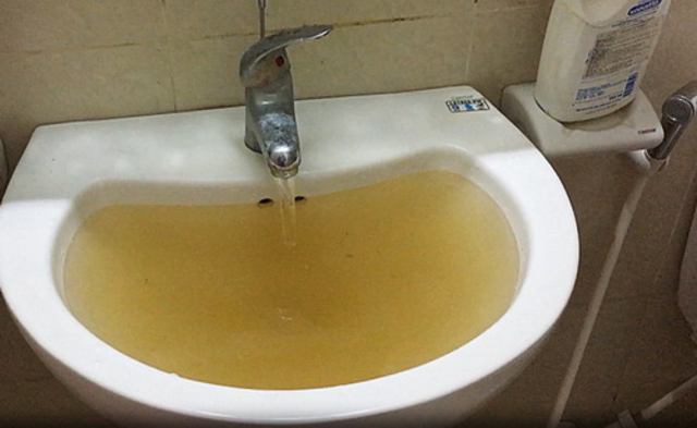 Không thau rửa bể khiến nước chuyển màu
